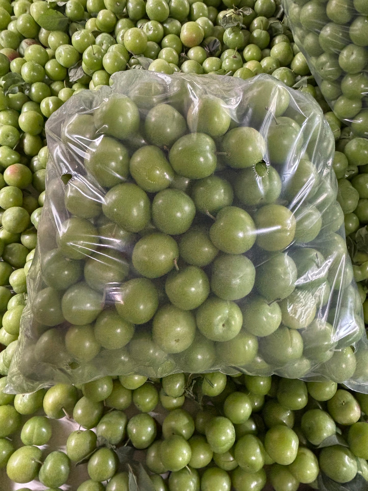 Turgutlu Dumanlı Papaz Erik 5 KG