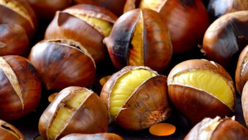 Aydın Büyük Boy Tatlı Kestane (1 KG)