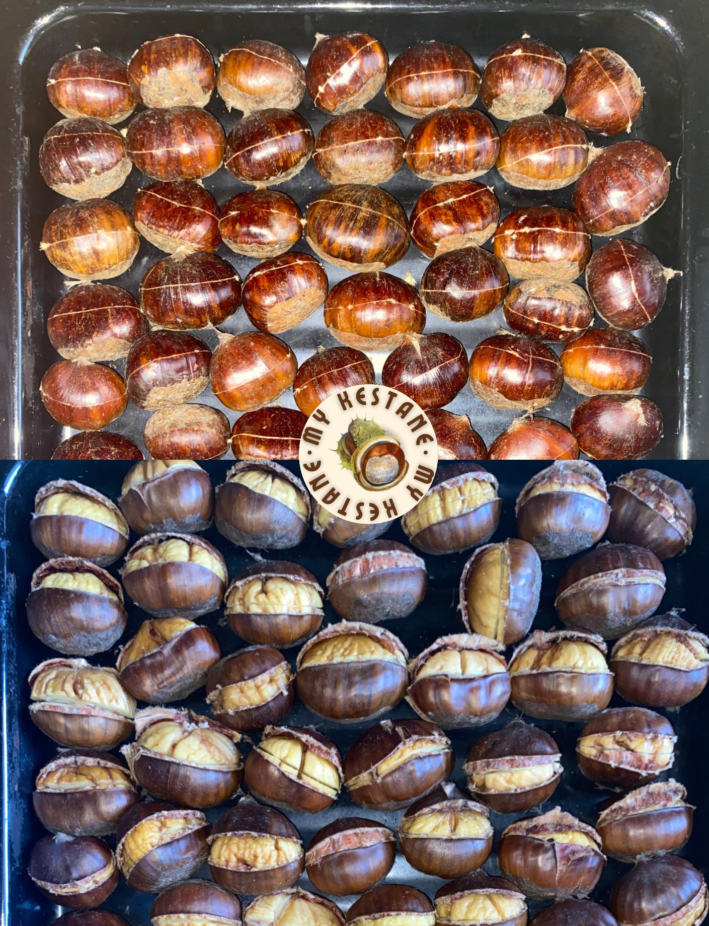Aydın Duble İri Boy Şekerci Kestane (1 KG)