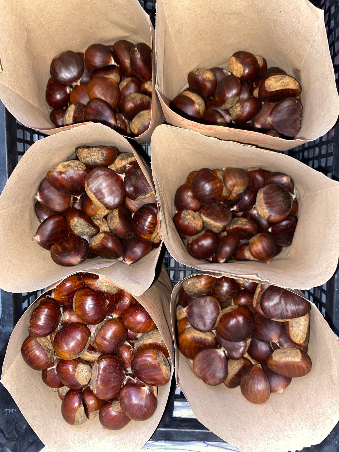 Aydın Orta Boy Şekerci Kestanesi (1 KG)