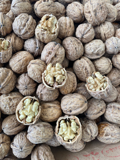 Bitlis Kabuklu Ceviz 1 KG