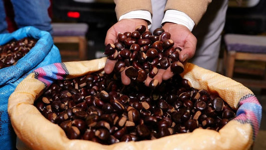 Tatlı Kuzu Kestanesi (1 KG)